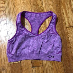 Champion Sports Bra